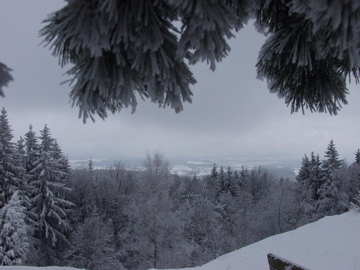 Steiner Wirt Otel Tiefenbach  Dış mekan fotoğraf