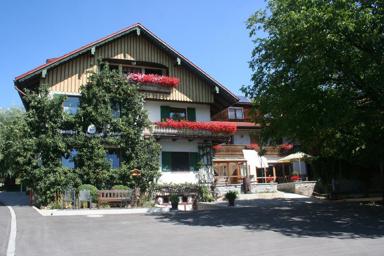 Steiner Wirt Otel Tiefenbach  Dış mekan fotoğraf